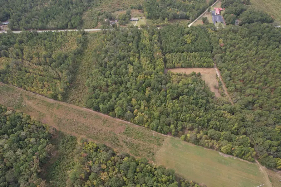 7+/- Acres Marion Church Rd., Salters, SC 29590 - #3