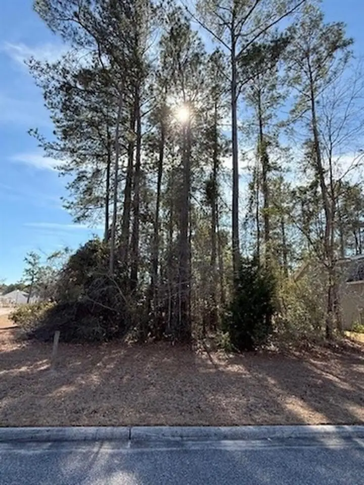 2001 Spring Valley Ct., Loris, SC 29569 - #1