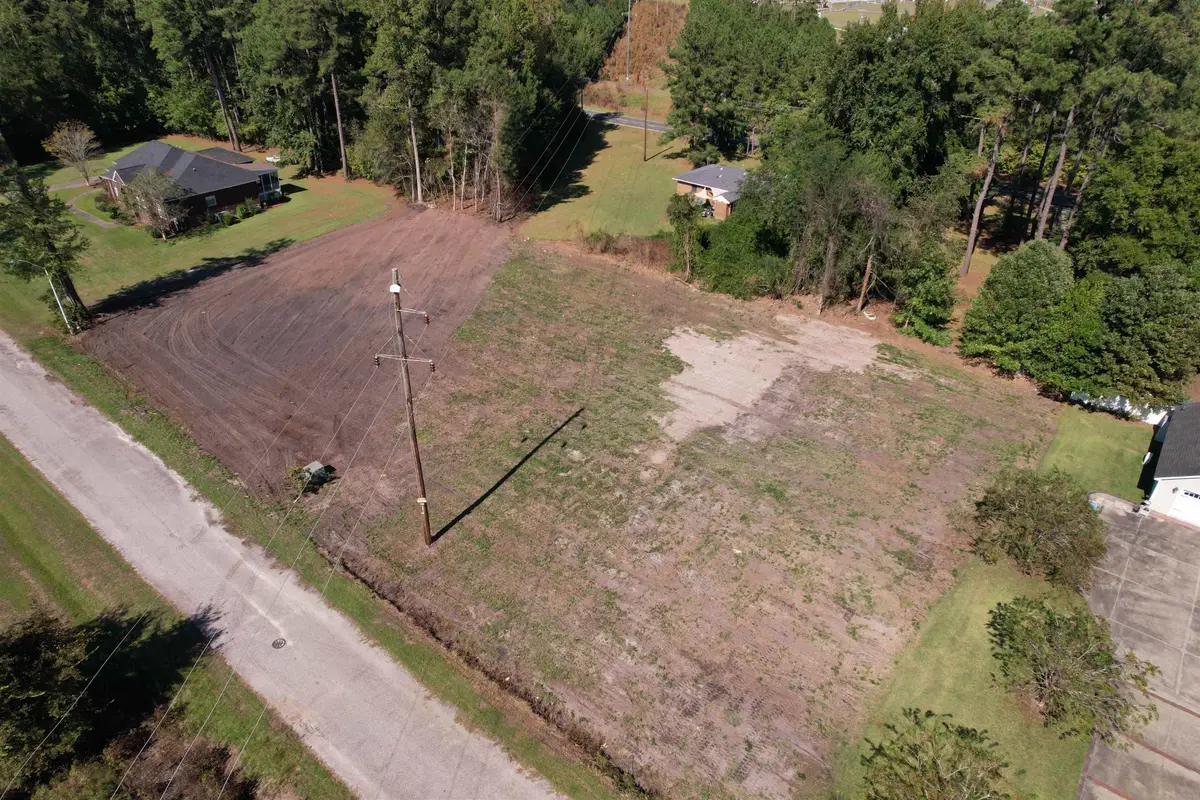 2 Lots - Golfview Circle, Johnsonville, SC 29555 - #1