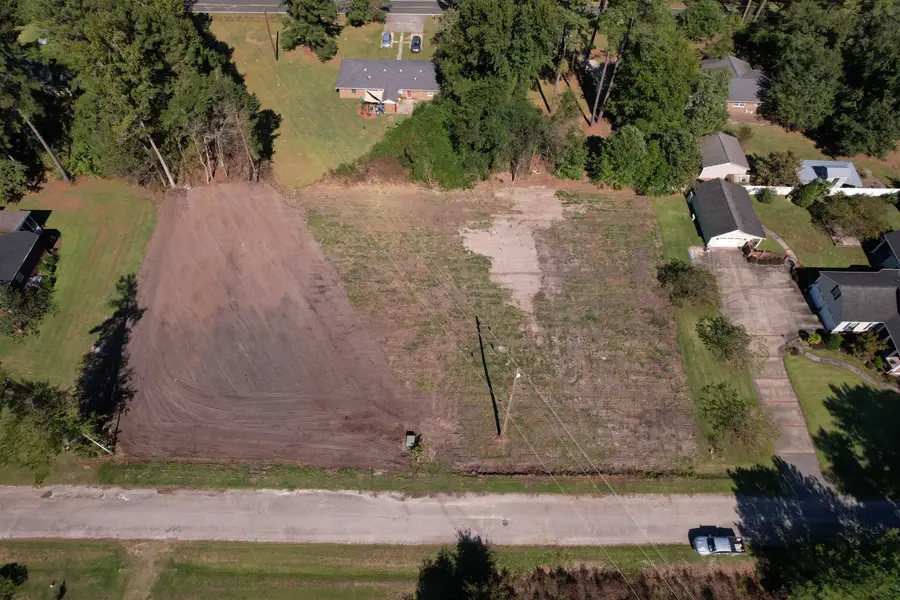 2 Lots - Golfview Circle, Johnsonville, SC 29555 - #2