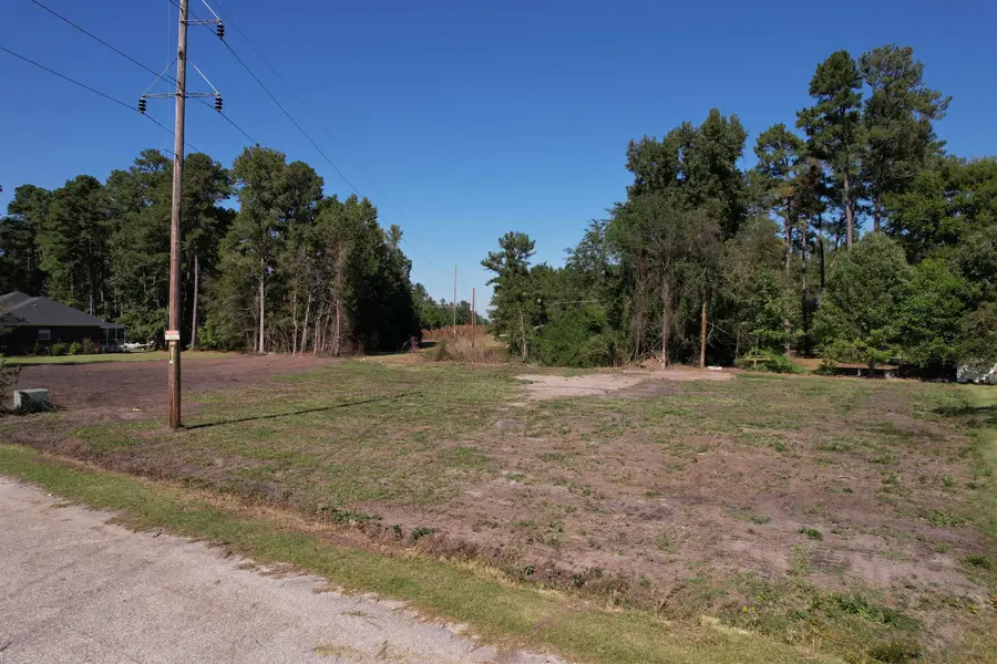 2 Lots - Golfview Circle, Johnsonville, SC 29555 - #3