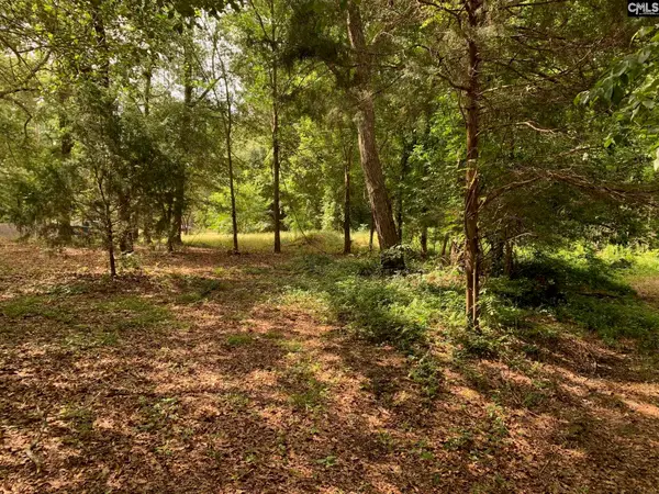 436 Peach Festival Road, Gilbert, SC 29054