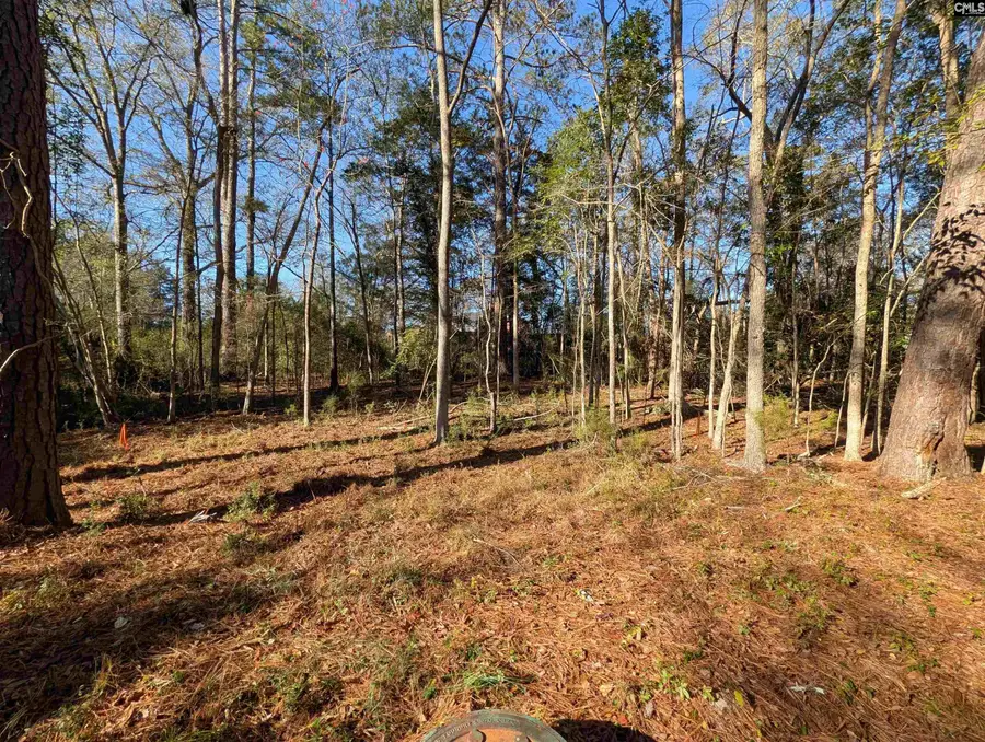 Brown Street, Prosperity, SC 29127 - #2