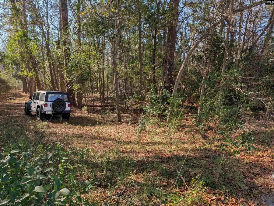 Brown Street, Prosperity, SC 29127 - #3