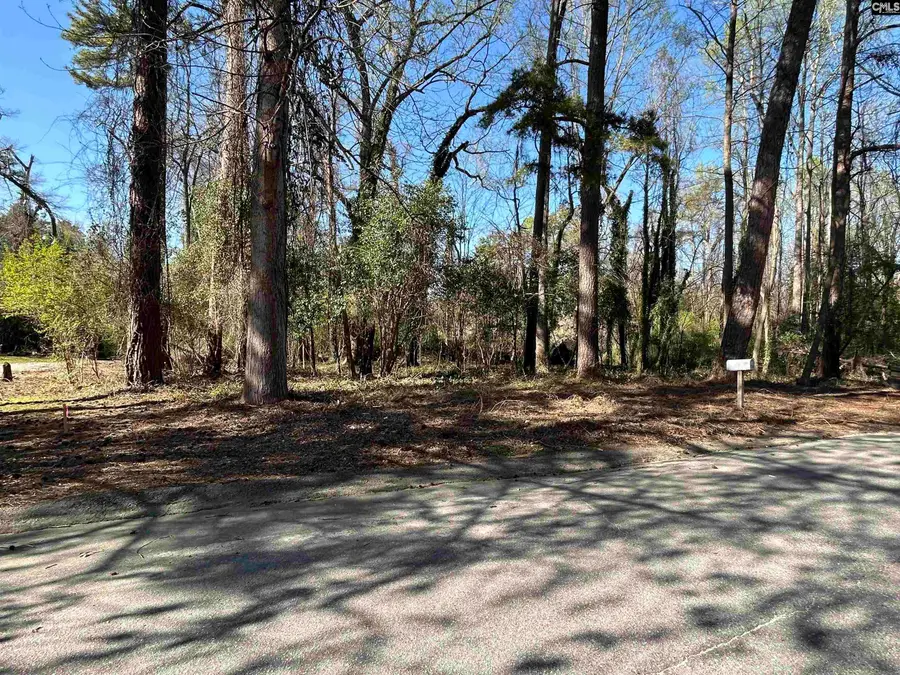 305 Bertha Avenue, Columbia, SC 29203 - Image #3