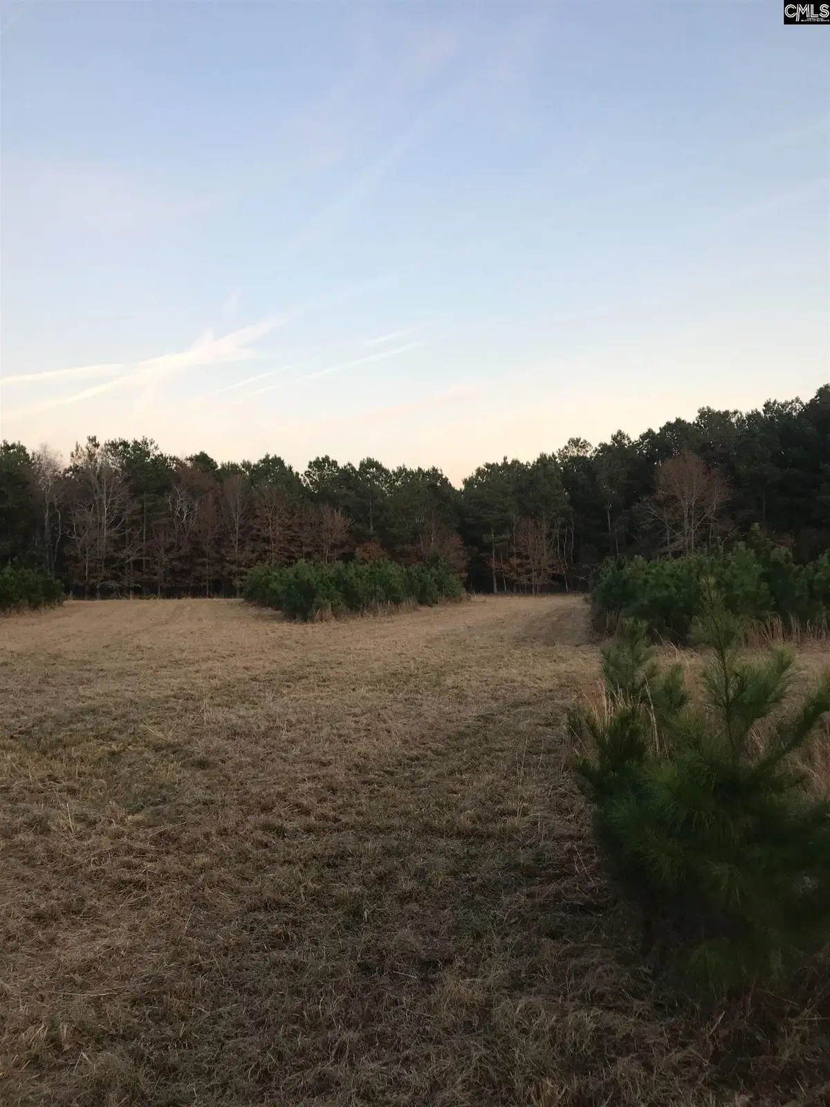 0 Basil Road, Swansea, SC 29160 - Image #1