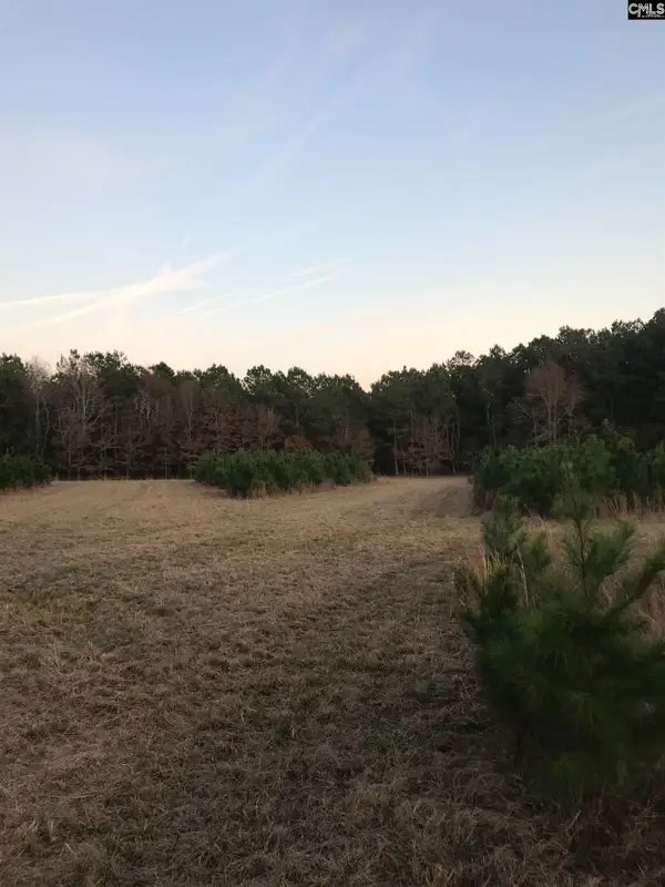 0 Basil Road, Swansea, SC 29160