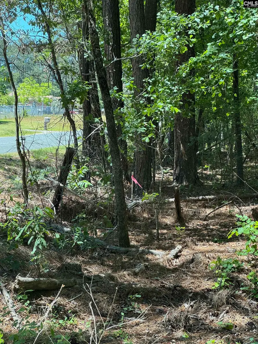 0 Basil Road, Swansea, SC 29160 - Image #2