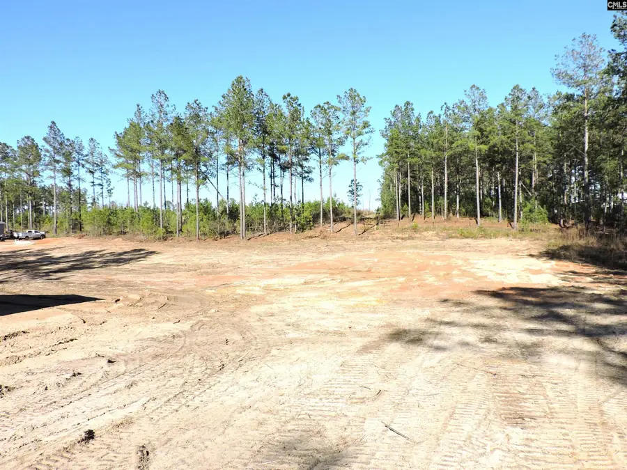 818 White Pond Road, Williston, SC 29853 - #3