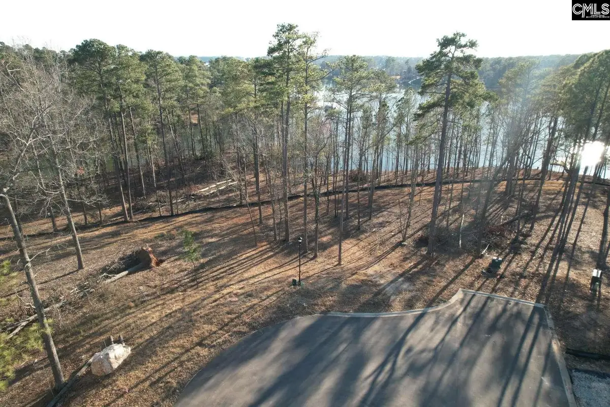 1533 Saugus Court, Chapin, SC 29036 - Image #1