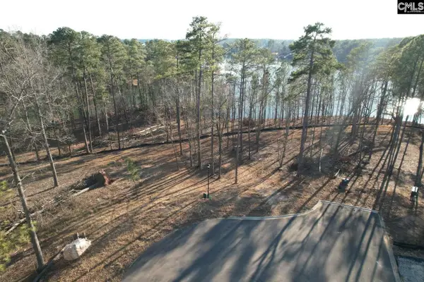 1533 Saugus Court, Chapin, SC 29036