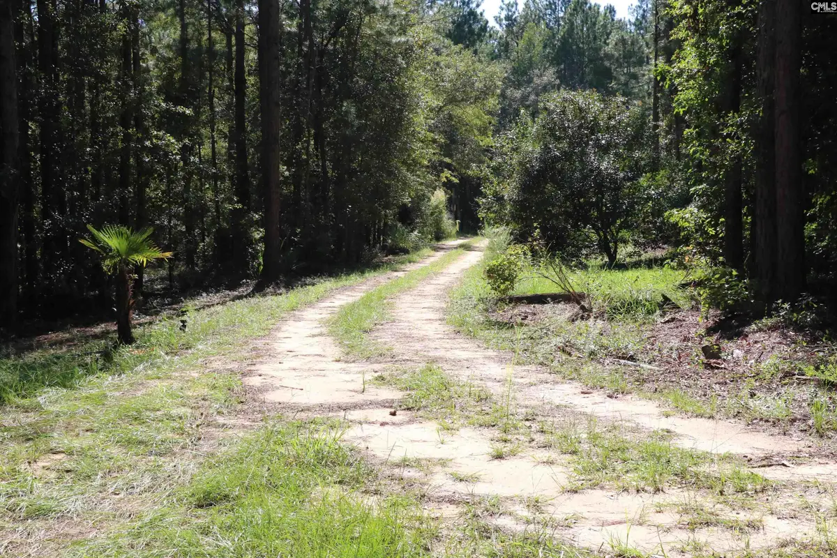 Bubba Gunter Road, Wagener, SC 29164 - #1