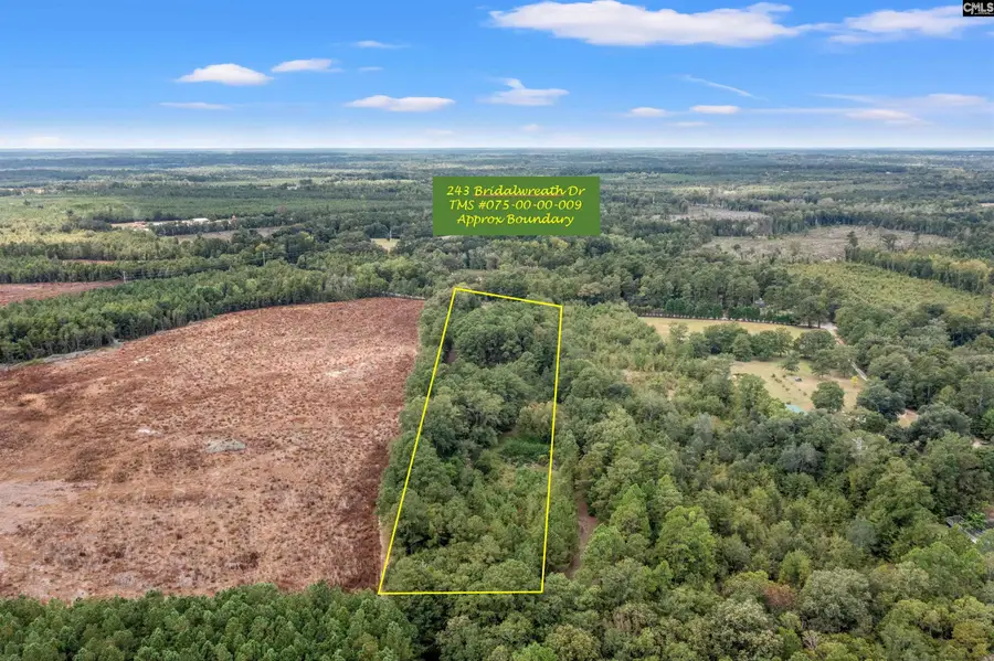 243 Bridalwreath Drive, Saint Matthews, SC 29135 - Image #2