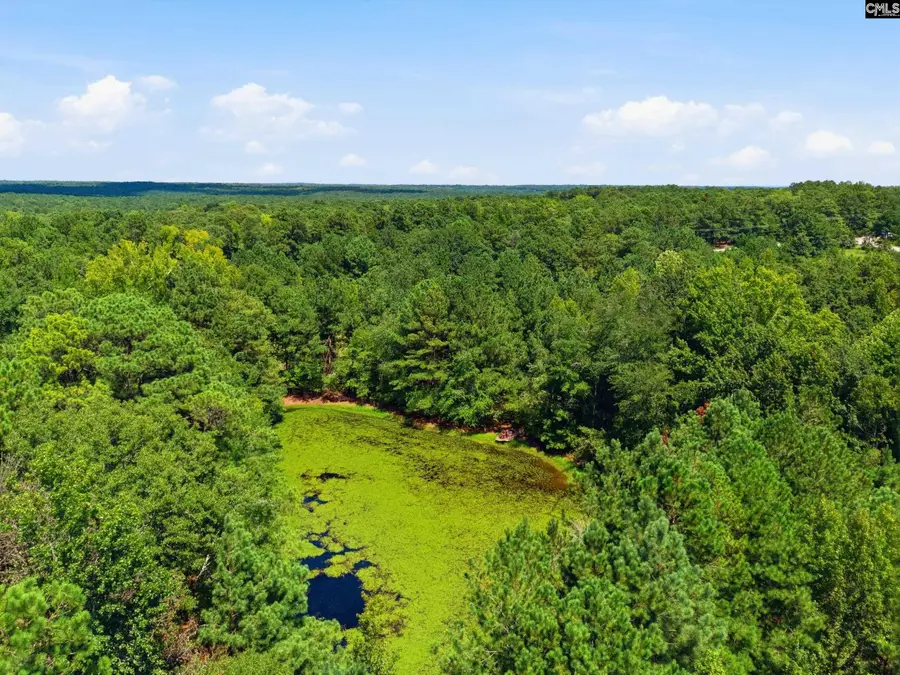 425 Barfield Road, Elgin, SC 29045 - #2