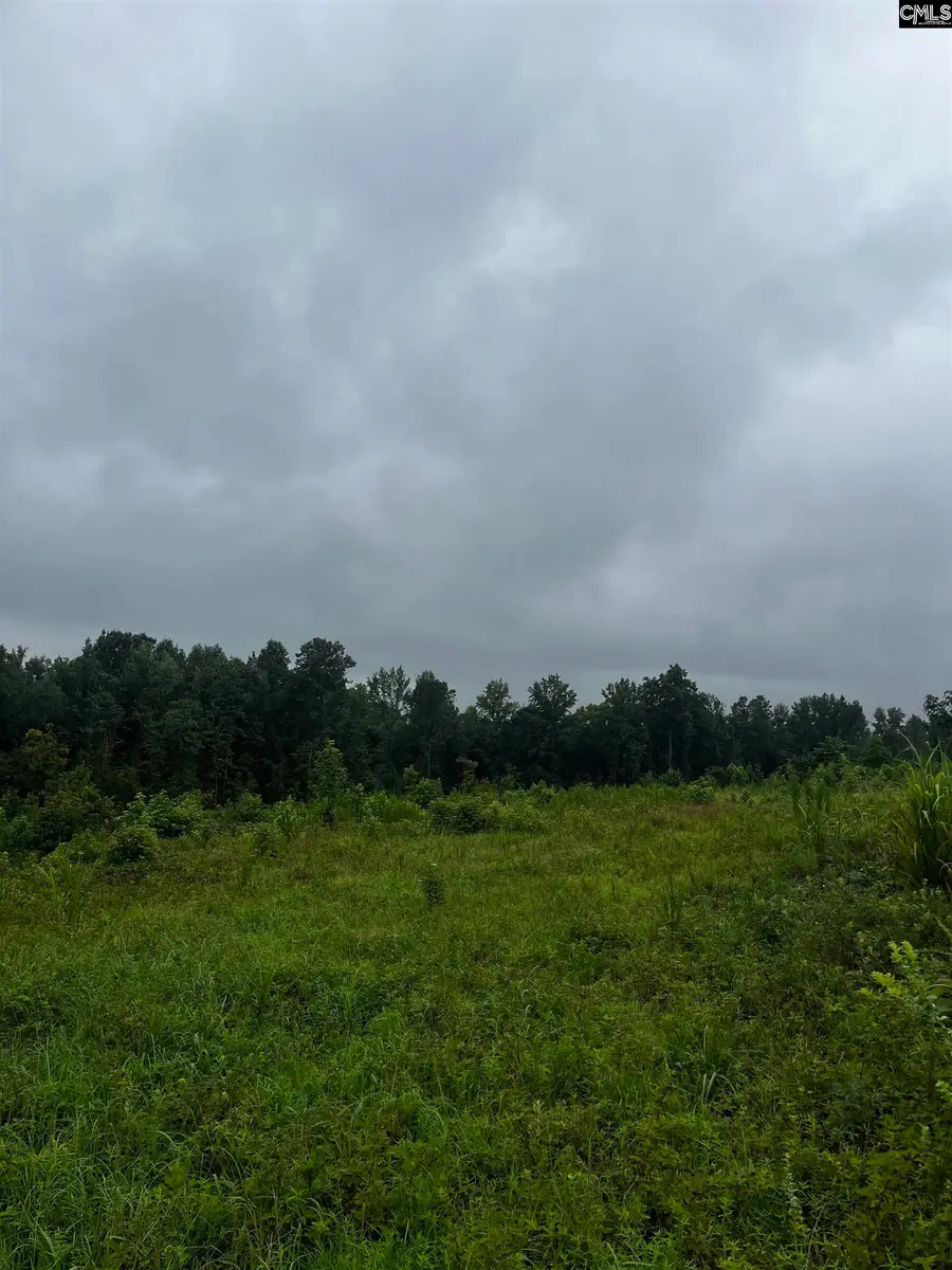 703 Neds Creek Road, Kershaw, SC 29067 - Image #2