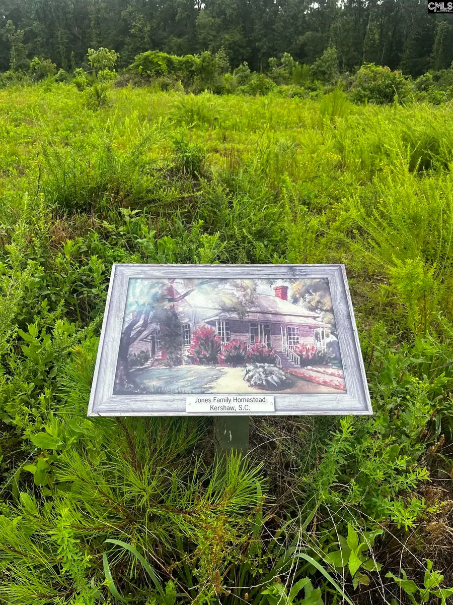 703 Neds Creek Road, Kershaw, SC 29067 - Image #3