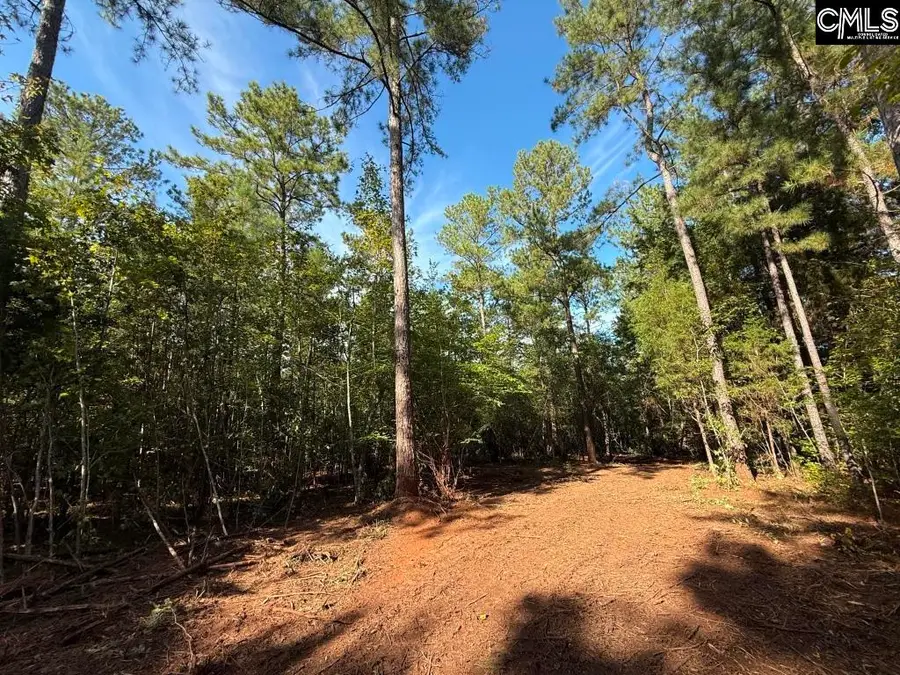 Hwy 391 Road, Prosperity, SC 29127 - Image #3