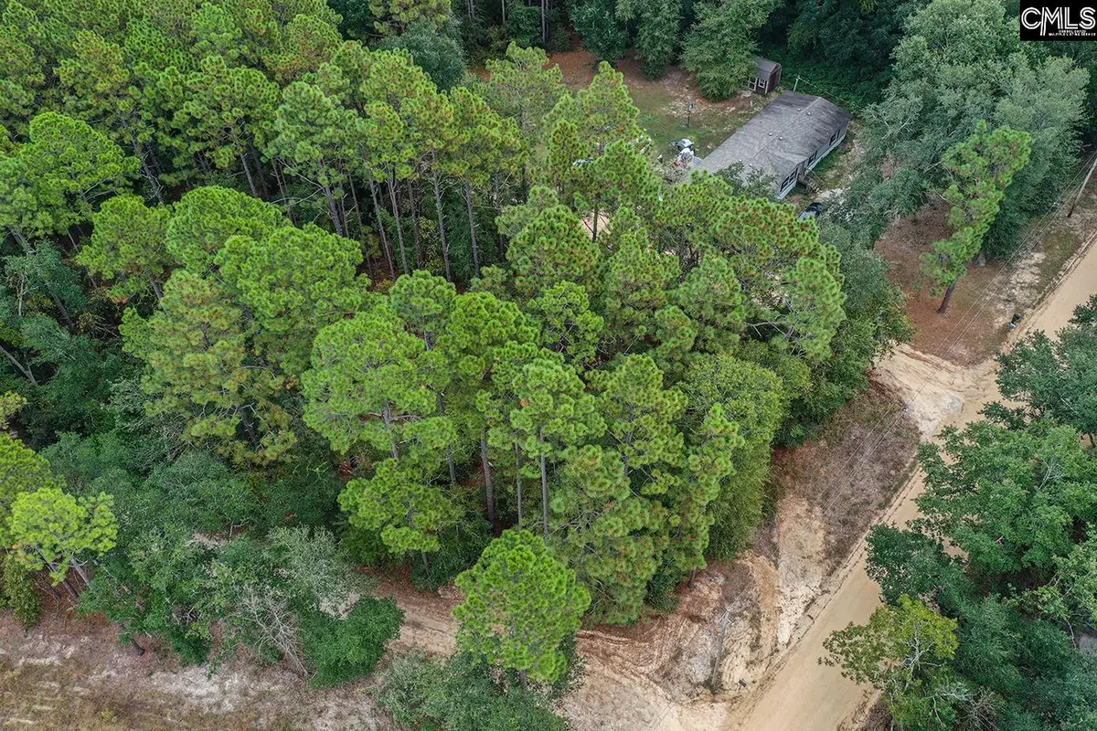 Mimosa Drive, Gaston, SC 29053 - Image #1