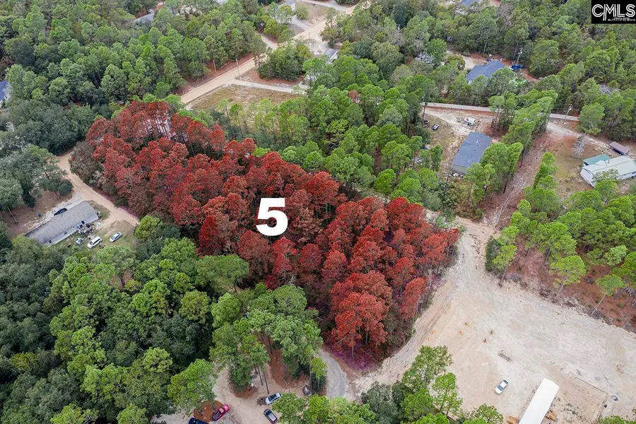 Mimosa Drive, Gaston, SC 29053 - Image #2