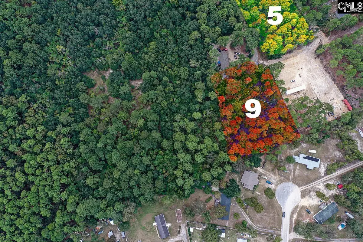 Mimosa Drive, Gaston, SC 29053 - Image #1