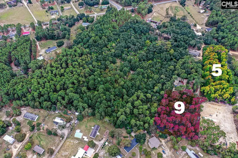 Mimosa Drive, Gaston, SC 29053 - Image #3