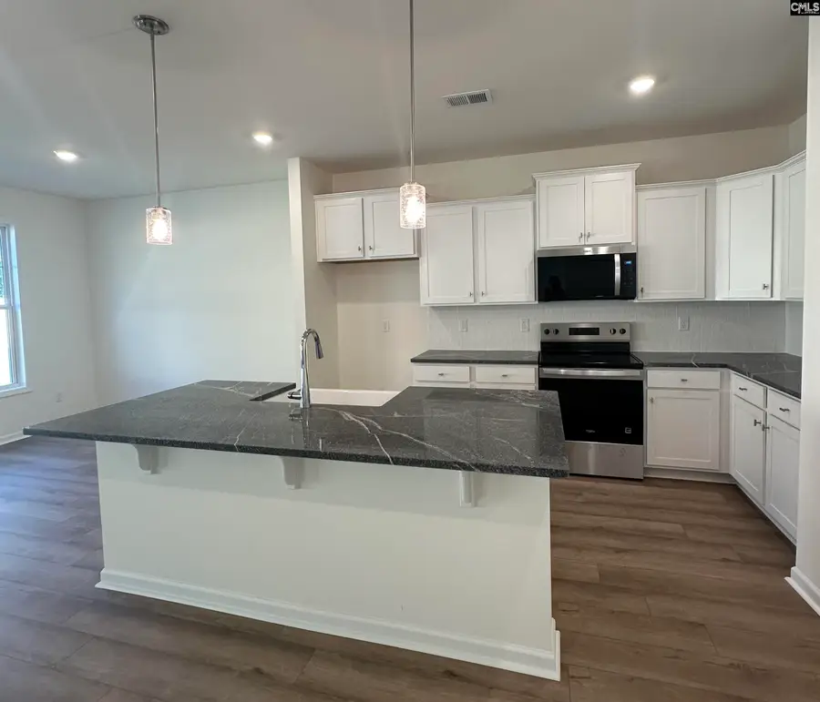 550 Griffon Drive, Chapin, SC 29036 - Image #2