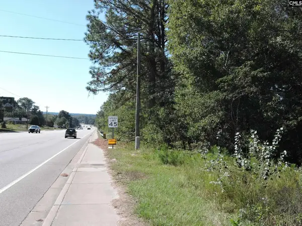 1250 South Lake Dr, Lexington, SC 29073