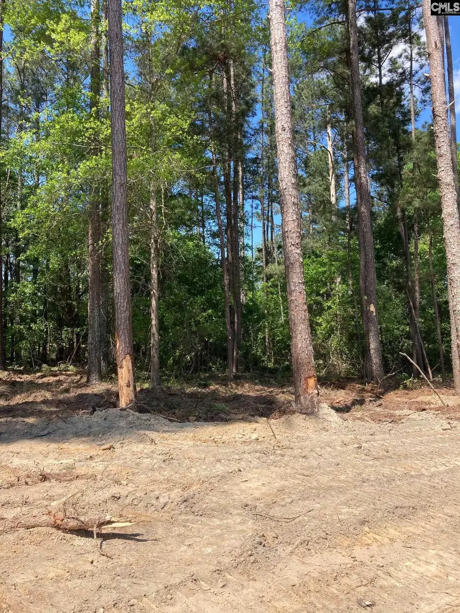 10735 Wilson Boulevard, Blythewood, SC 29016 - Image #3