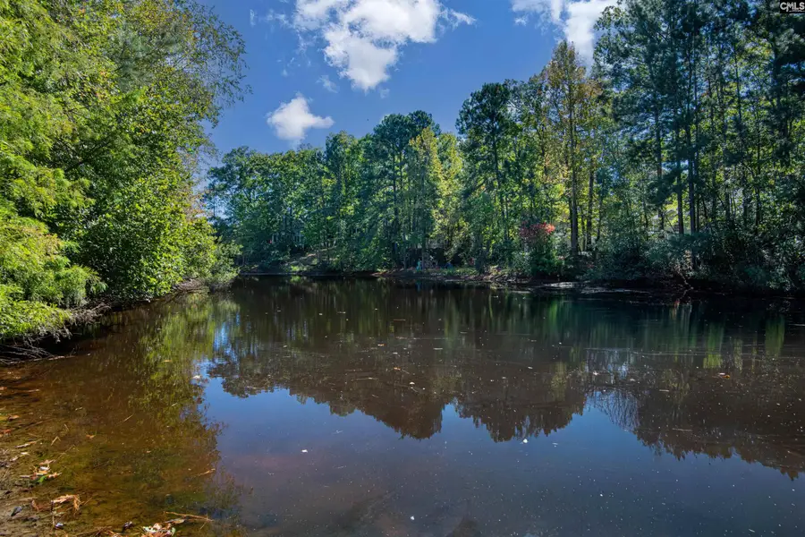 112 Mallard Lakes Court, Lexington, SC 29072 - Image #3