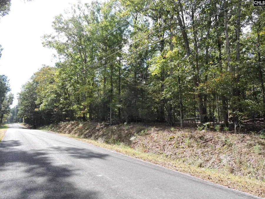 TBD Leisure Point And Seibert, Prosperity, SC 29127 - Image #3