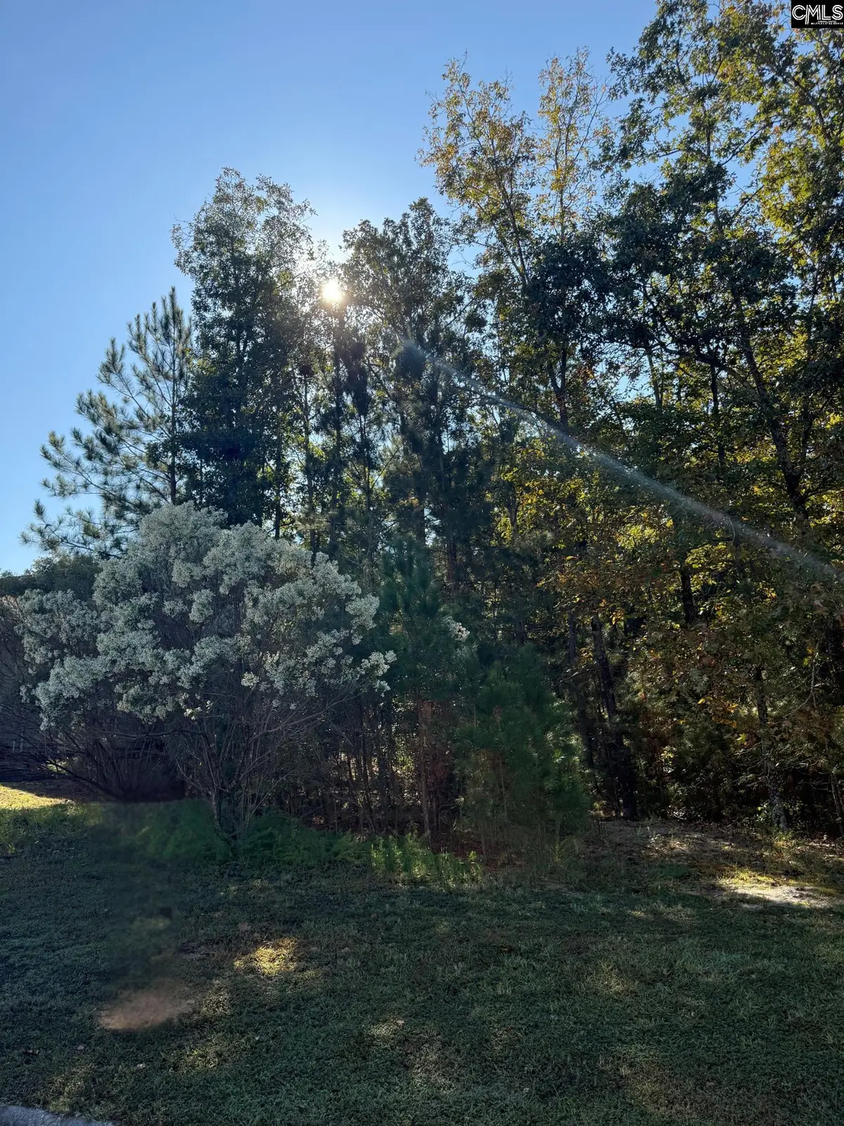 761 Carolina Aster Drive, Blythewood, SC 29016 - Image #1