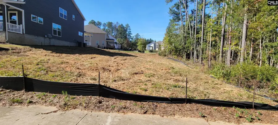 1005 Coogler Crossing Drive, Blythewood, SC 29016 - Image #3