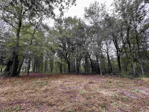 0 Kelly Day Road, Pelion, SC 29123