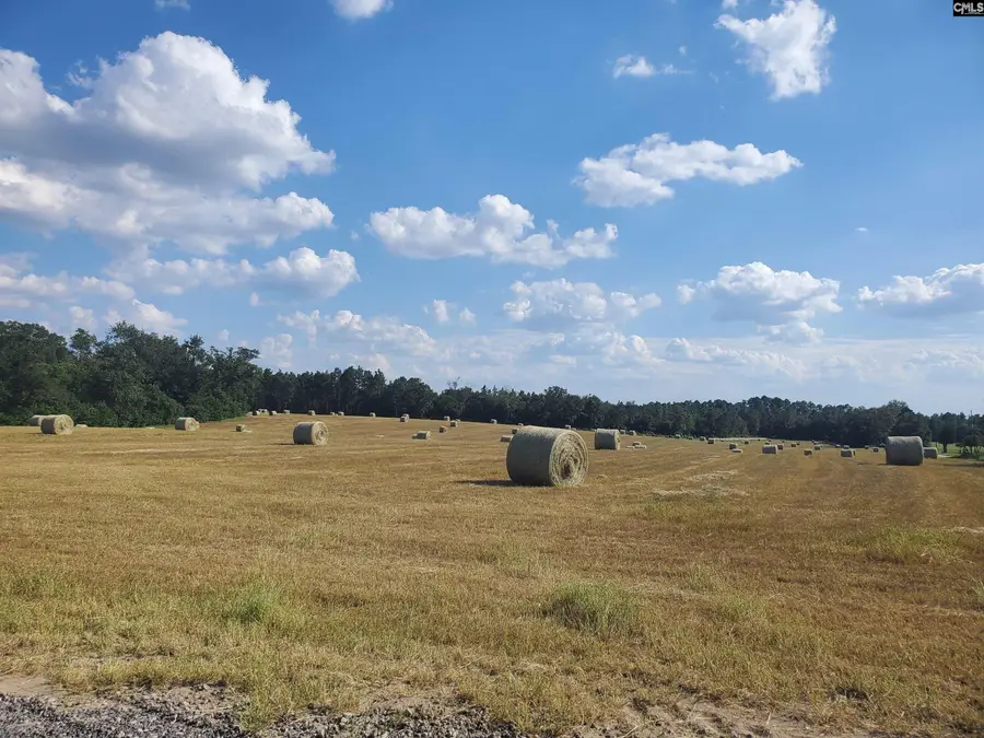 Lot 1 Water Tank Road, Pelion, SC 29123 - Image #2