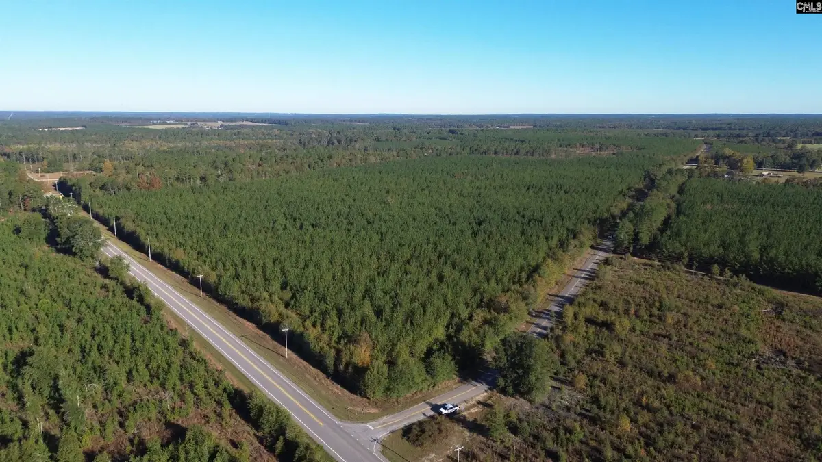 Fairview Road, Leesville, SC 29070 - Image #1