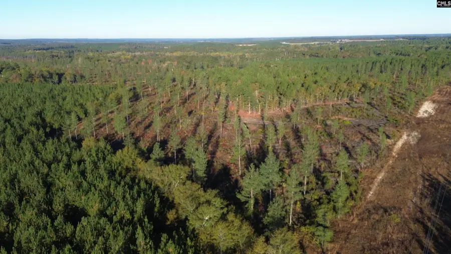 Fairview Road, Leesville, SC 29070 - Image #2