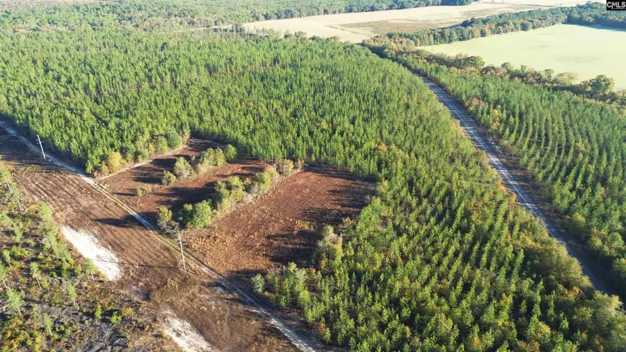 Fairview Road, Leesville, SC 29070 - Image #3