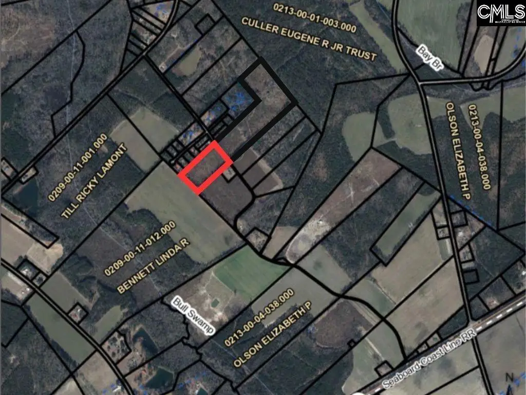 Cooter Road, Orangeburg, SC 29115 - Image #1