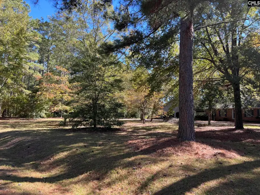 123 Hollow Lane, Leesville, SC 29070 - Image #3