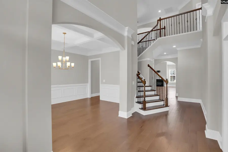 2124 Ludlow Place, Chapin, SC 29036 - Image #3