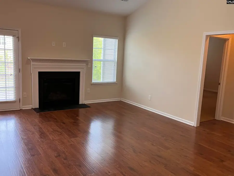 1137 Portrait Hill Drive, Chapin, SC 29036 - Image #3