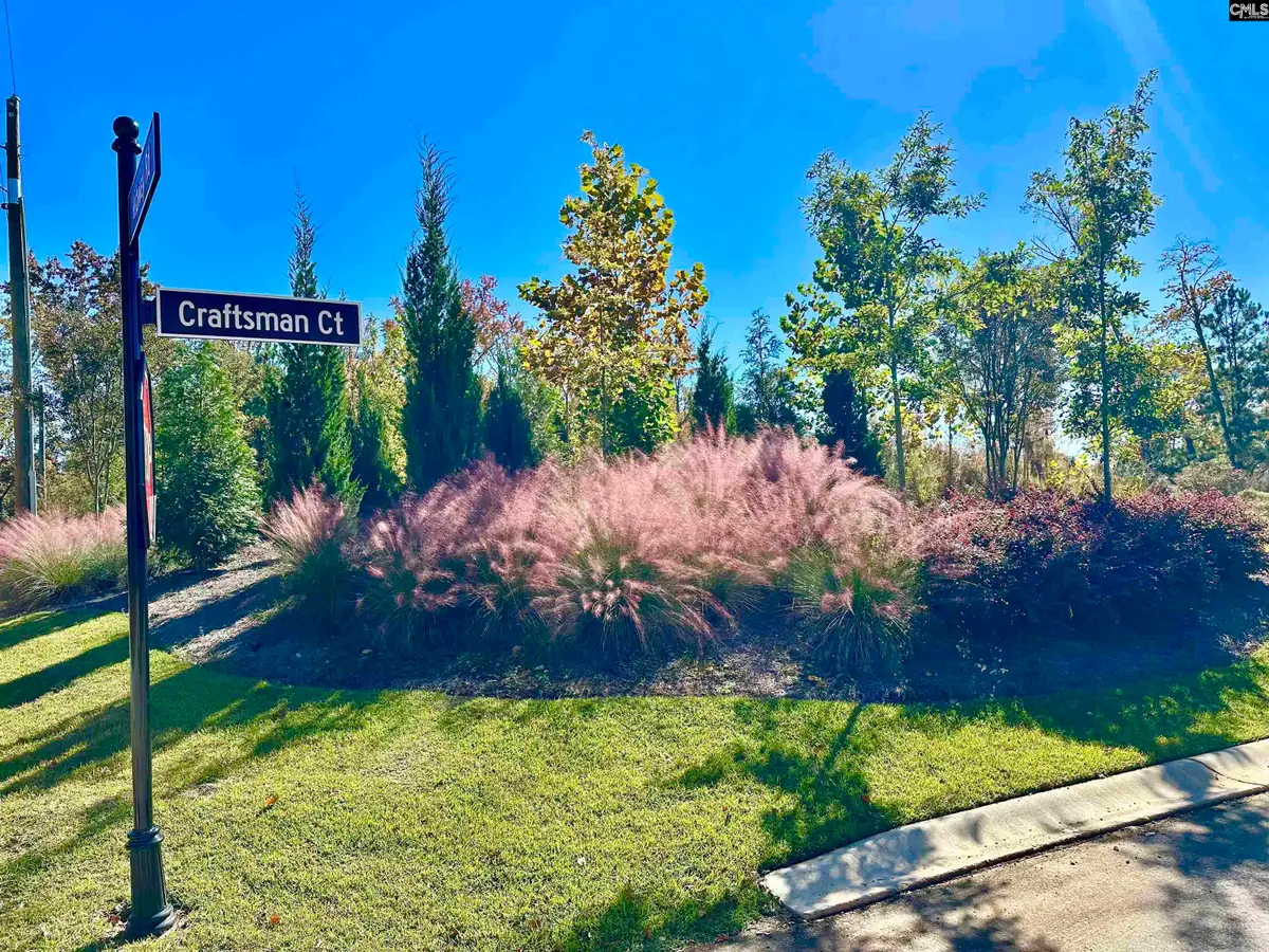 440 Craftsman Court, Lexington, SC 29072 - Image #1