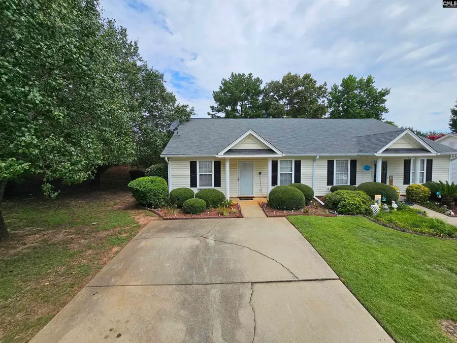 126 Fair Haven Way, Chapin, SC 29036 - Image #2