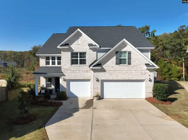 13 Botticelli Court, Chapin, SC 29036