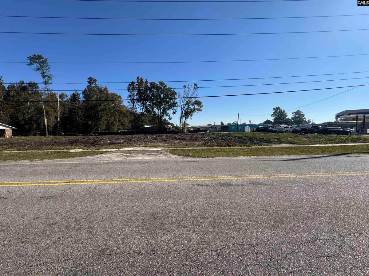 208 Mitchell Street, Batesburg, SC 29006 - Image #1