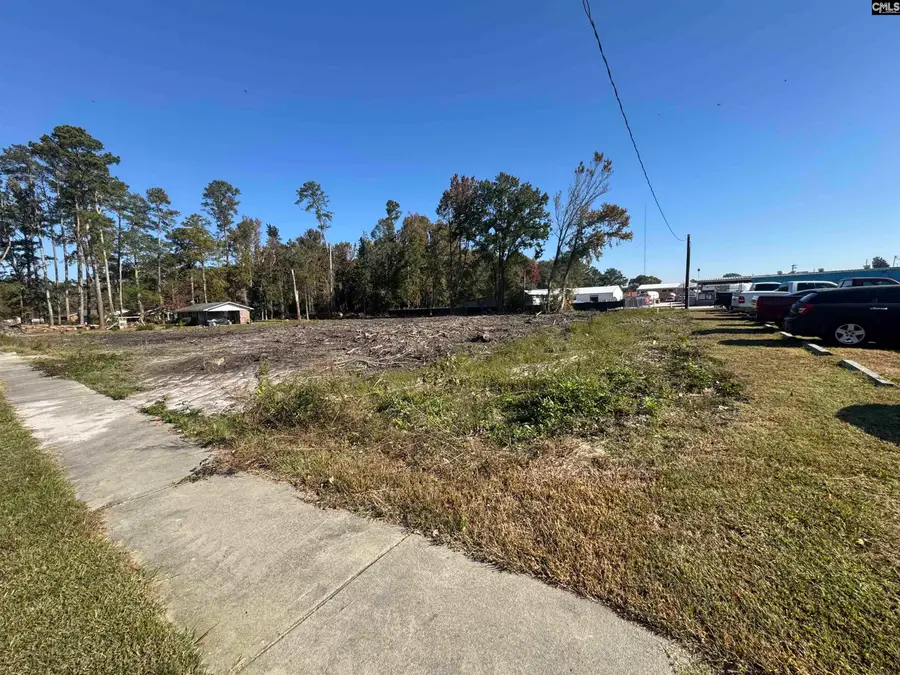 208 Mitchell Street, Batesburg, SC 29006 - Image #2