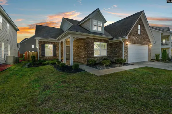 509 Malachite Lane, Chapin, SC 29036