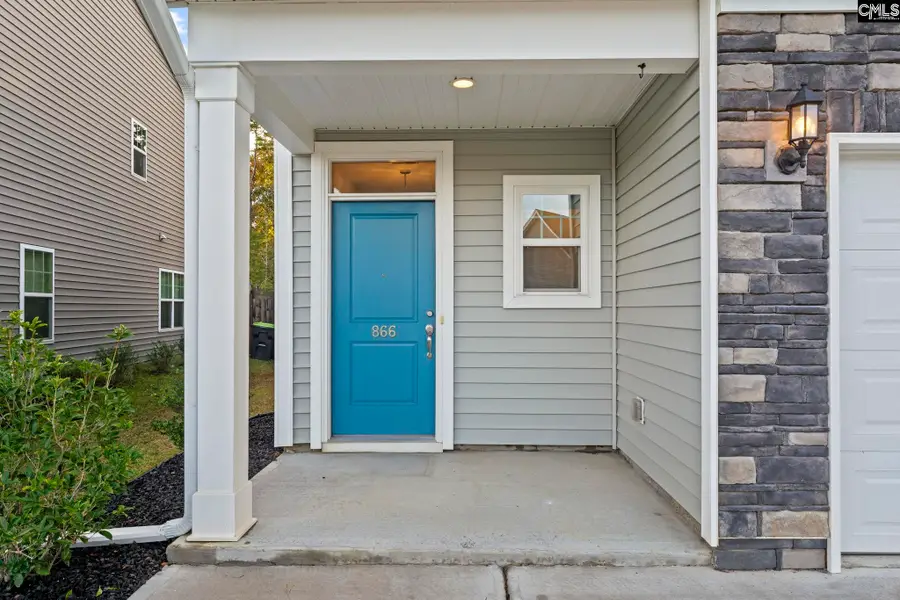 866 Bergenfield Lane, Chapin, SC 29036 - Image #3