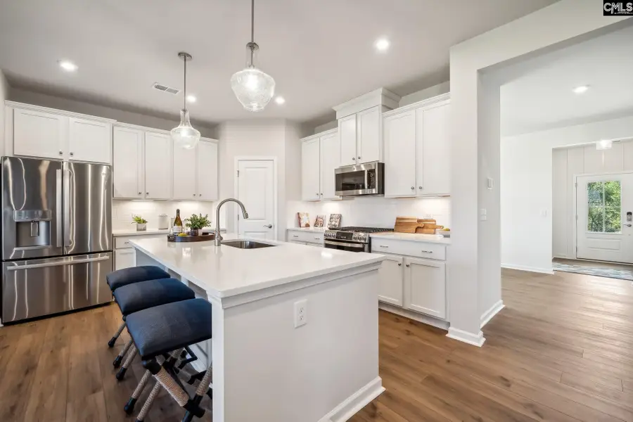 308 Grannys Cut Way, Chapin, SC 29036 - Image #3