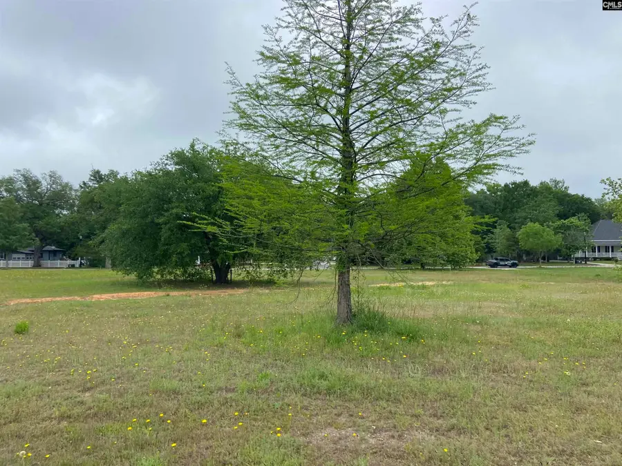 1313 Fair Street, Camden, SC 29020 - Image #3